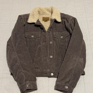 American Eagle Outfitters Tan Corduroy Jacket with Cream Sherpa Collar